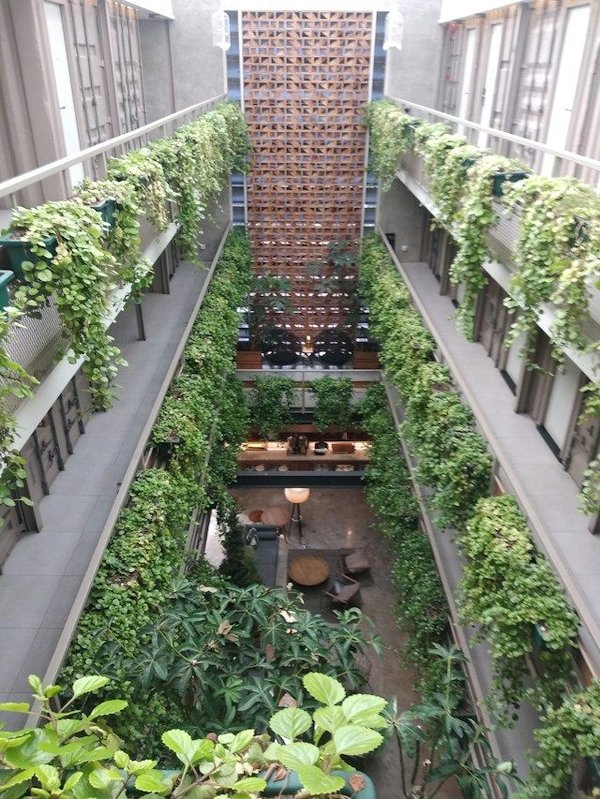 How to create a vertical garden at home